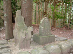 ���n���q